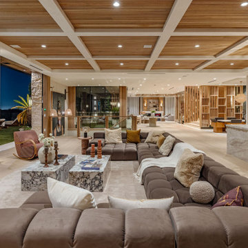 Contemporary Living Room