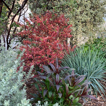 Harmonious colors, varying textures
