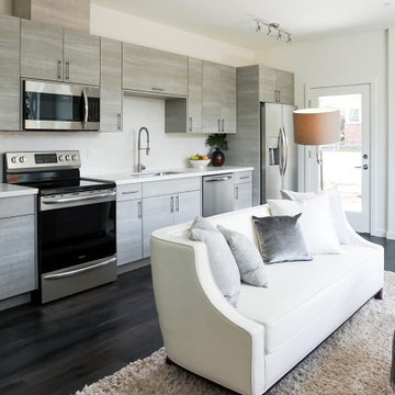 Modern Open-Concept Kitchen Remodel