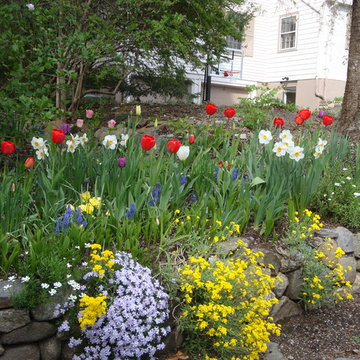 Spring Bulb Designs