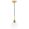 Brass Finish And Clear Glass 1-Light Pendant