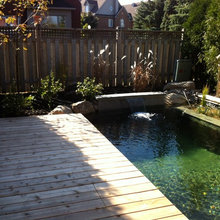 small pool
