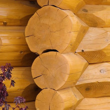 log home
