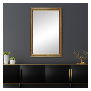 Oxfordshire Framed Wall Mirror, 20" X 60" - Transitional - Bathroom ...