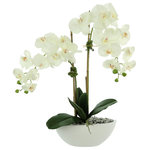 Creative Displays - White orchids in a ceramic pot - White orchids in a ceramic pot with rocks and moss.