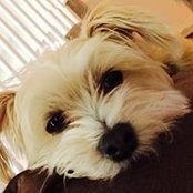Melissa Ihrig Davis's photo