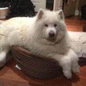 Donna Ashworth's photo