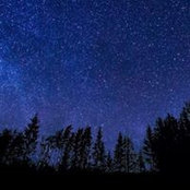 Mark Macanass billede