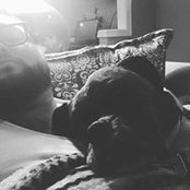 Del Nelms's photo
