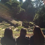 Phoebe Vu's photo
