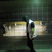 Justin Lawrence's photo