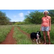 Susan Larsson's photo