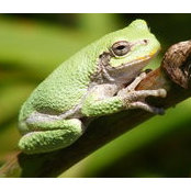 Foto von Kit Fillenworth