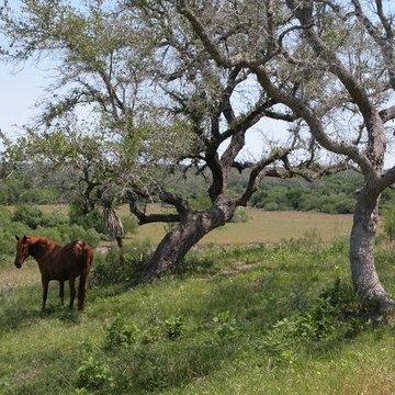 Goliad Weekend House