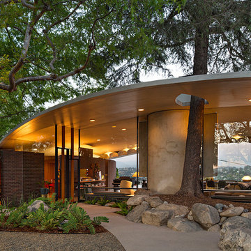 Silvertop
