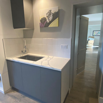 Secret dog wash/ laundry room / gym