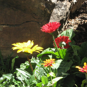 Annual Flower Gardens