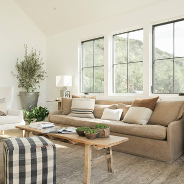 Malibu Scandinavian Modern Living Room