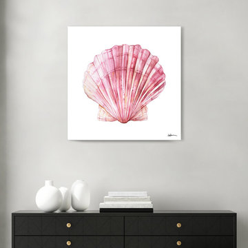 'Blushing Scallop' Wrapped Canvas Wall Art