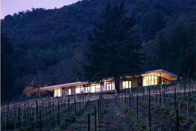 Example of a minimalist exterior home design in San Francisco