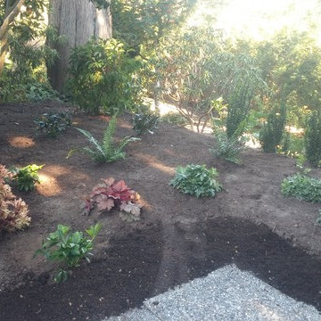 Shade Gardens