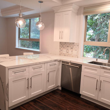 SHERMAN OAKS RENOVATION