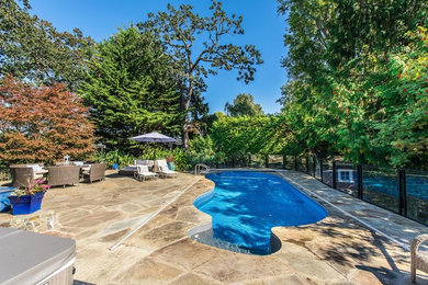 Pool - mid-sized craftsman backyard stone and kidney-shaped natural pool idea in Vancouver
