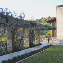 trellis