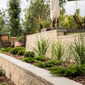 Full Landscape Reconstruction 2