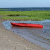 Joe Mault's photo