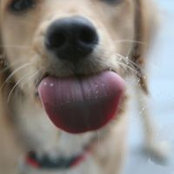 Barbara J Brown's photo