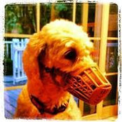 Jamie Bonsall's photo