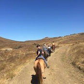 Clare Shorrock's photo