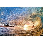 Kelly Thibault's photo