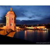 Gino Galea's photo
