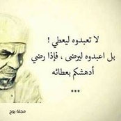 Mohamed Nehad's photo