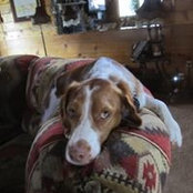 Carol Burns's photo