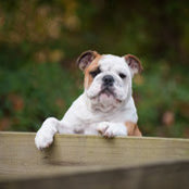 Brock Gerber's photo