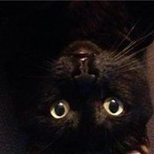 Candra Gendron's photo