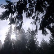 Mignon Reynolds's photo