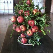 Foto von Sonia Fiore