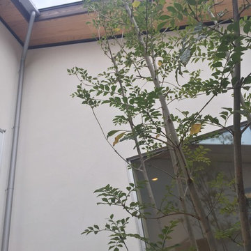 自然素材にこだわったお家