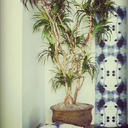 The Indigo Collection - Wallpaper