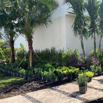 LANDSCAPING BEAUTY process