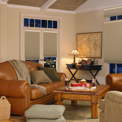Brilliance&reg; pleated shades with LiteRise&reg; - Cellular Shades