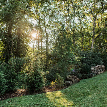 Vibrant Plantings and Woodland Paths