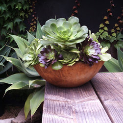 Succulent Containers - Outdoor Pots And Planters