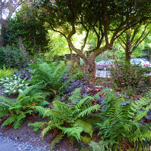 city garden