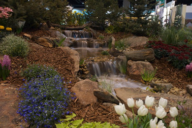 Design ideas for a traditional landscaping in Denver.