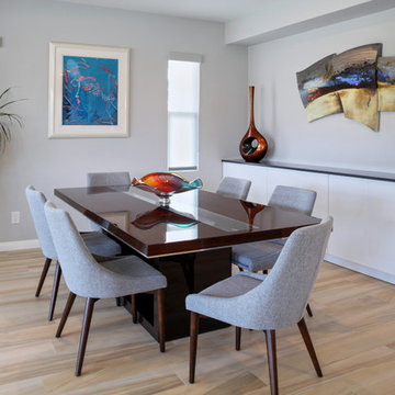 San Clemente Contemporary